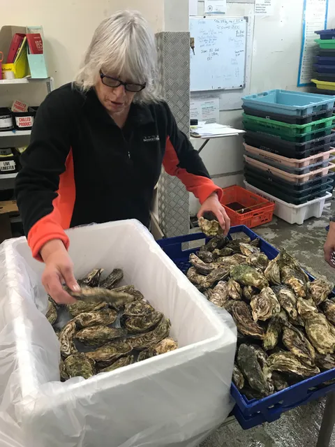 Fresh is Best NZ limited (seafood factory）