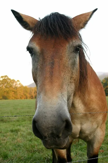 Bear Creek Regional Park East
