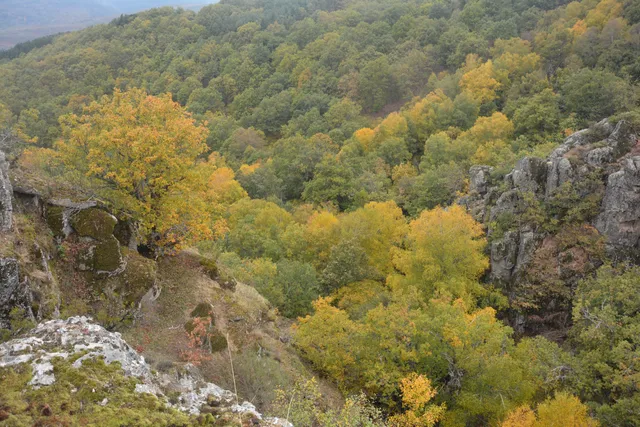 Mirador de la Dehesa Bonita