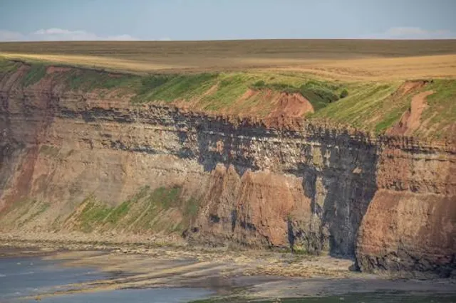Huntcliff Nature Reserve. (Saltburn-by-the-Sea)