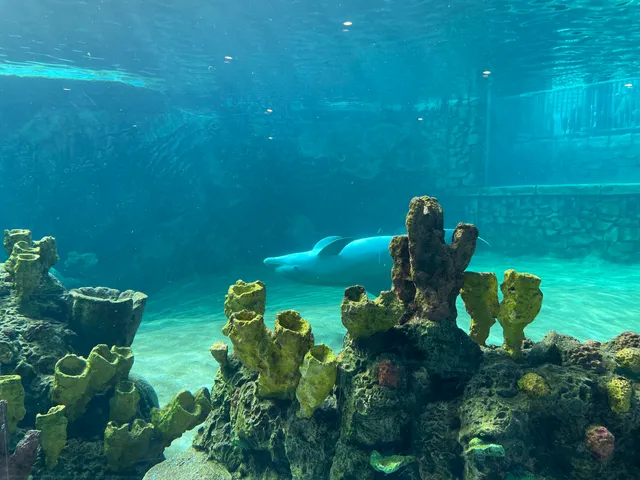 Discovery Point San Antonio