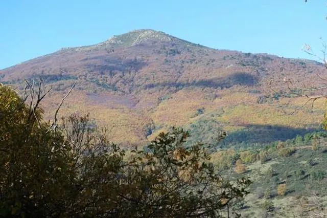 Ruta de los Castaños