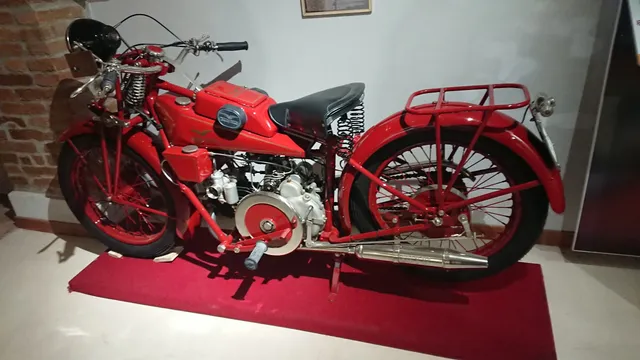 Casa Museo Antonio Ligabue