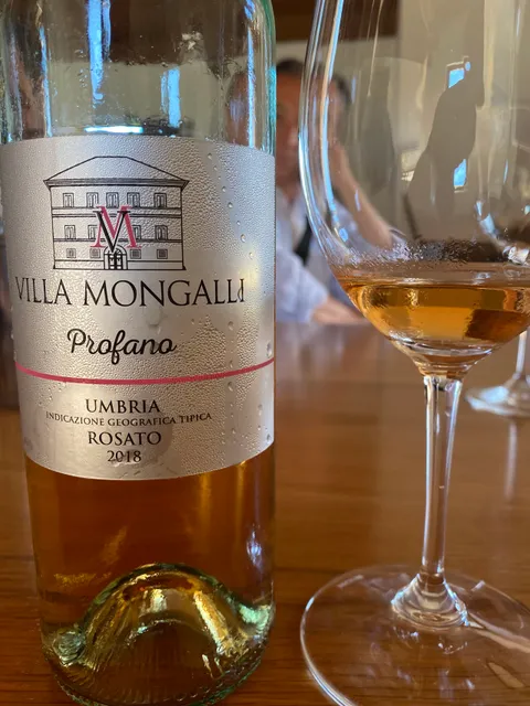 Cantina Villa Mongalli