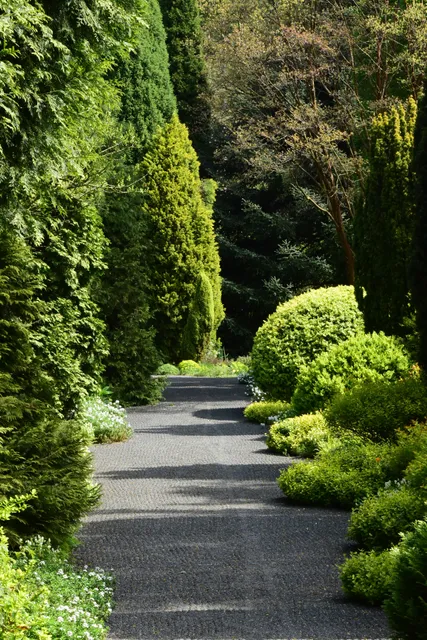 Foundation Arboretum Park Härle
