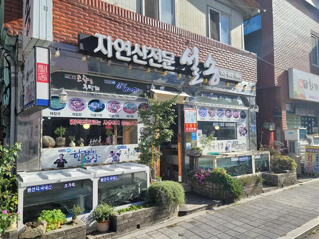 설송식당