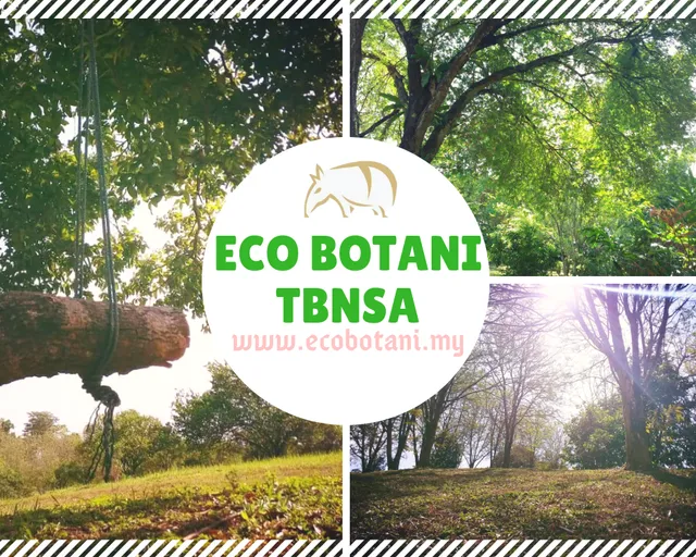 Aviary & Bunny Park @TBNSA