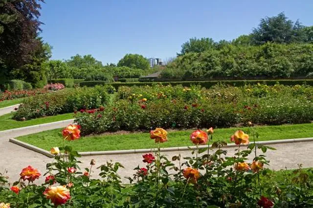 photo-2