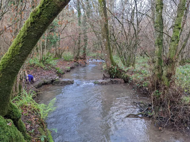 Harridge Wood West Nature Reserve