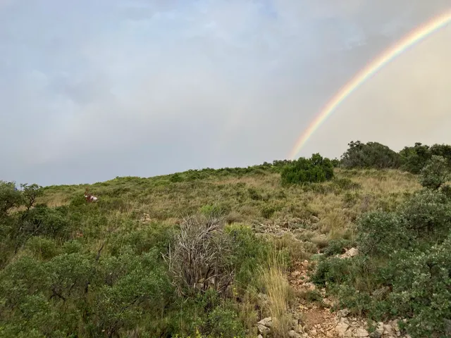 Cursa de l'Airosa, Memorial Felip Adell