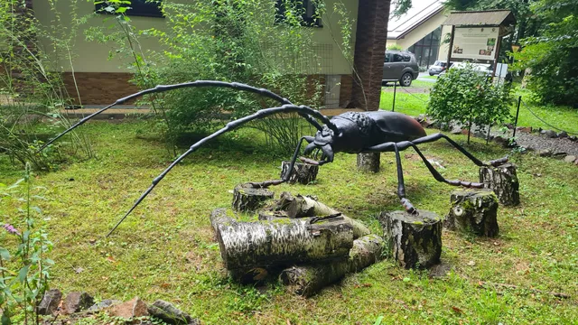 Karpacki Entomo- Zieleniec