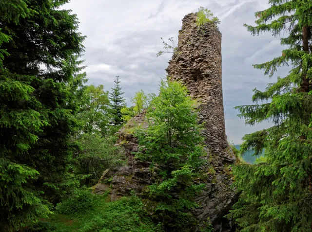 ruins Koberštejn