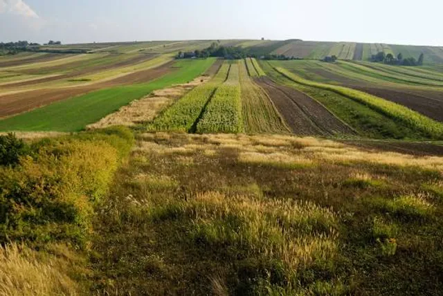 Satanivsʹka Perlyna