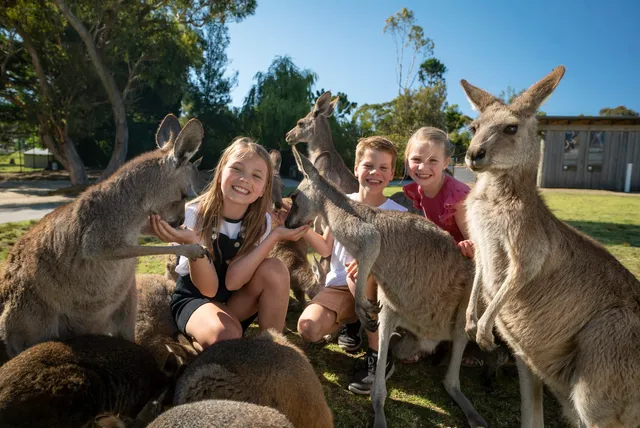 Wollongong City Council