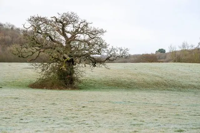 Dinas Powys Hillfort