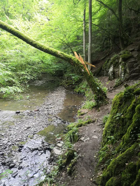 Traumschleife Baybachklamm