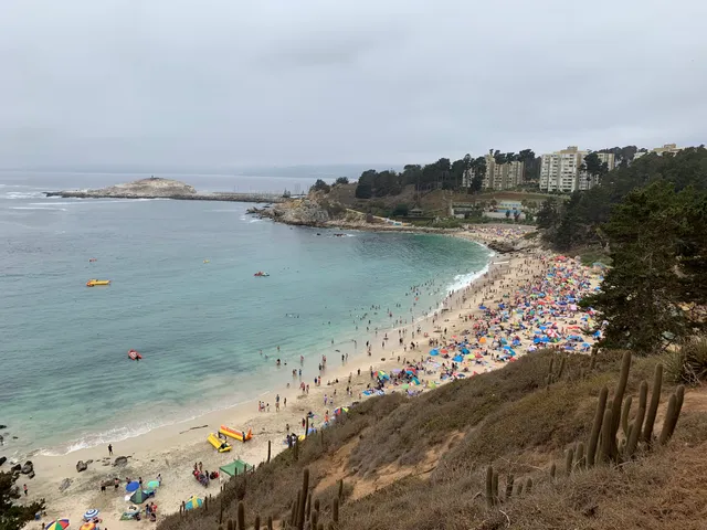 Canopy El Canelo (ALGARROBO)