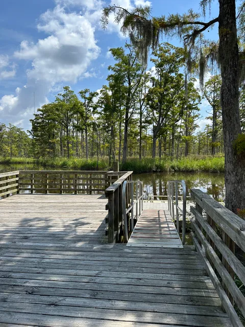 Cypress Cove Park