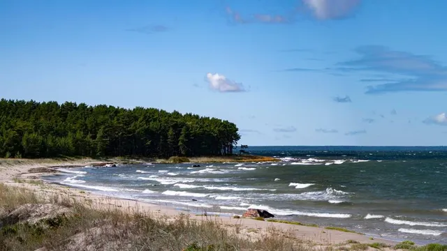 Bayswater Beach Provincial Park