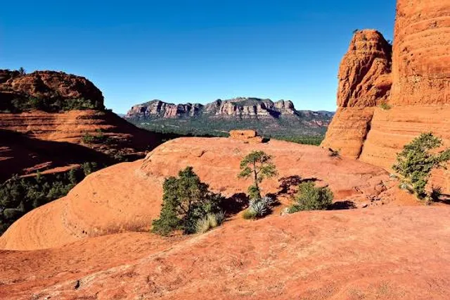 Chicken Point Overlook
