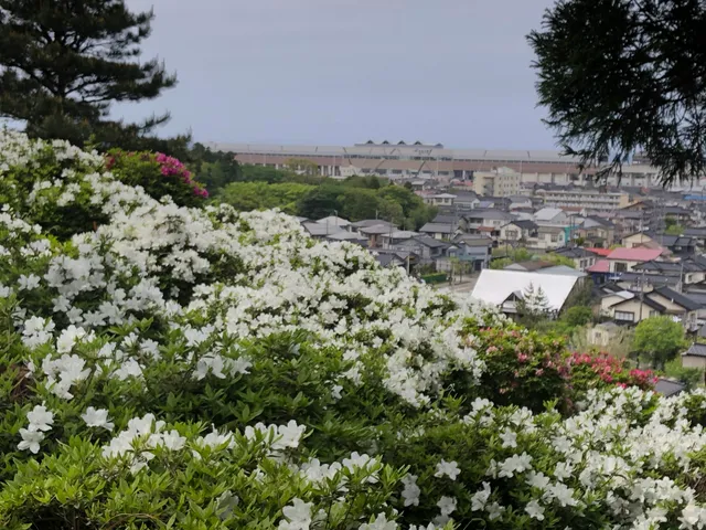 Gekkazan Kaneko Azalea Garden