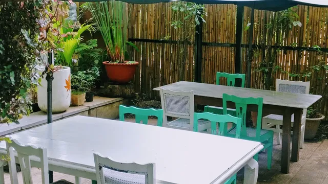 The Rogue Elephant Basavanagudi