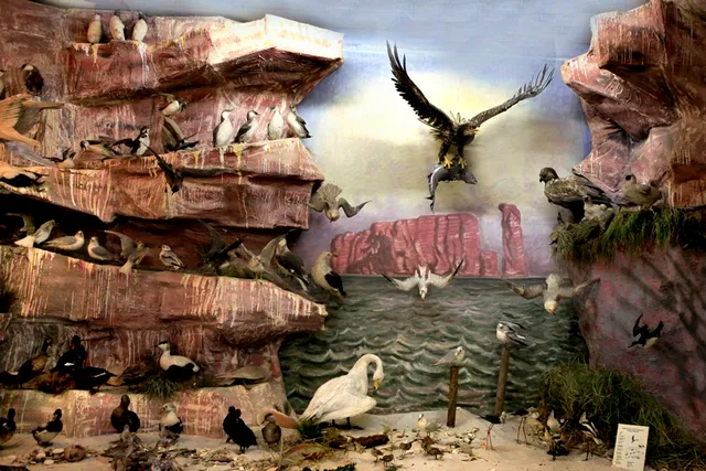 Carl-Schweizer-Museum