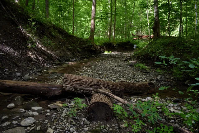 Kashong Conservation Area