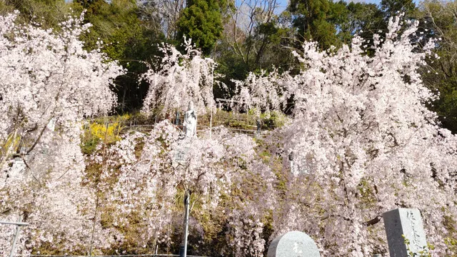 Yūkanosato Sakura Park