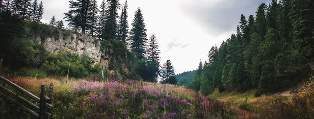 Lincoln National Forest