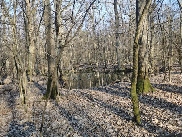 Chojnów Landscape Park