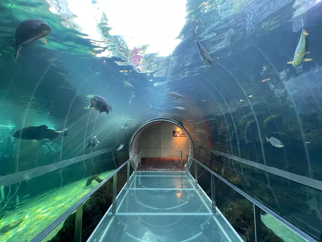 Nakagawa Aquatic Park