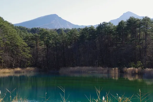 Aonuma Pond（Goshikinuma Ponds）