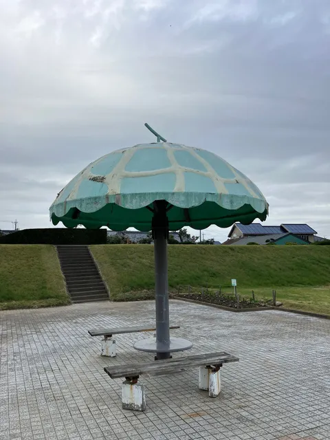 photo-1
