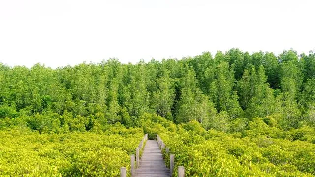 Ścieżka dydaktyczna "Czahary"