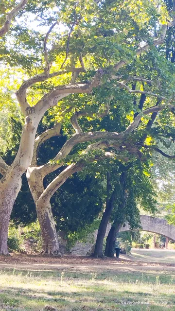 Château de villegly