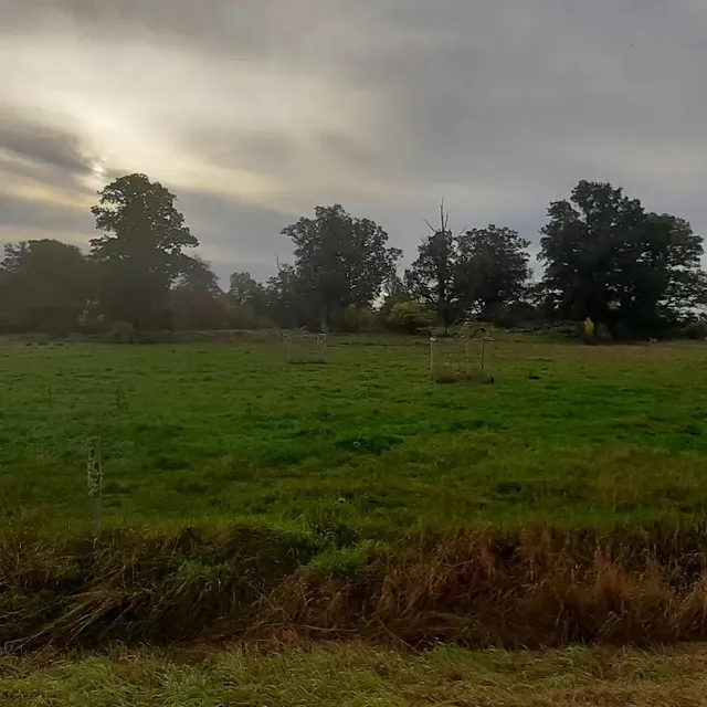 Tinnerö Naturreservat