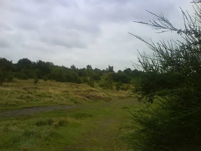 Kersal Moor