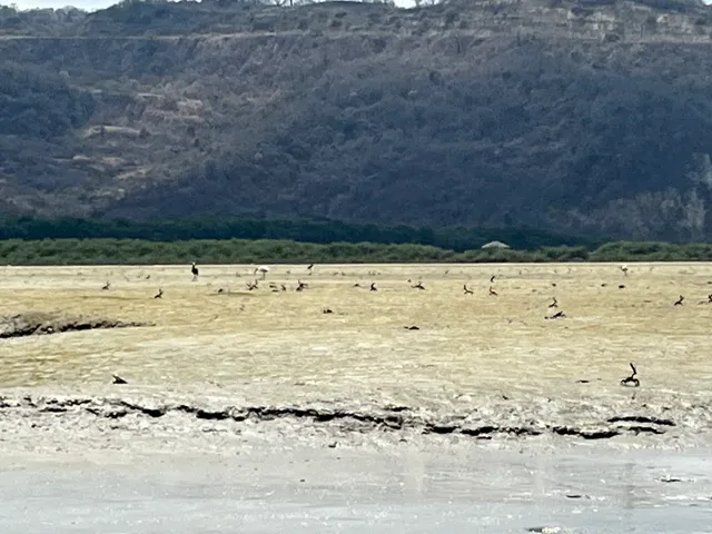 Refugio de vida silvestre isla corazón y fragata
