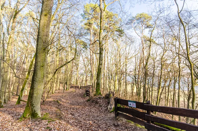 Rezerwat przyrody Wiosło Małe