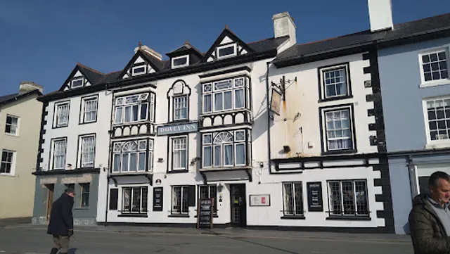 Bear of Amsterdam Cafe