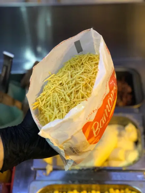 Point do Dog Container