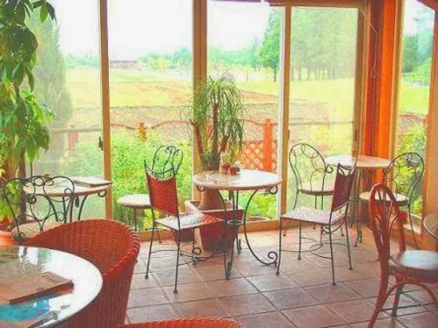 Healing Space Pangea