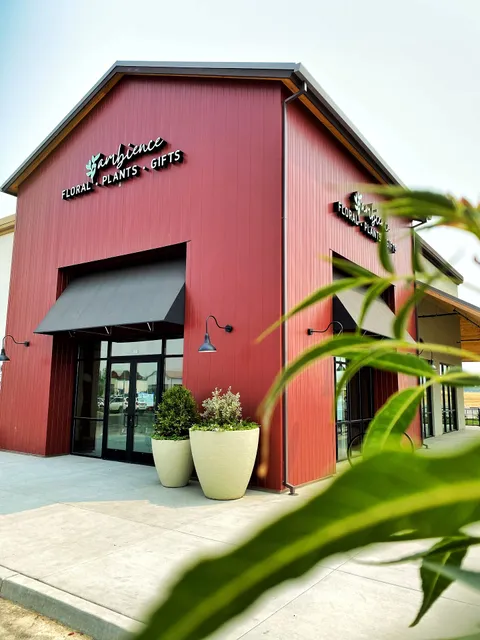 Ambience Floral Design & Gifts