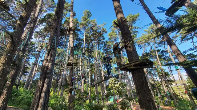 Adrenalin Forest