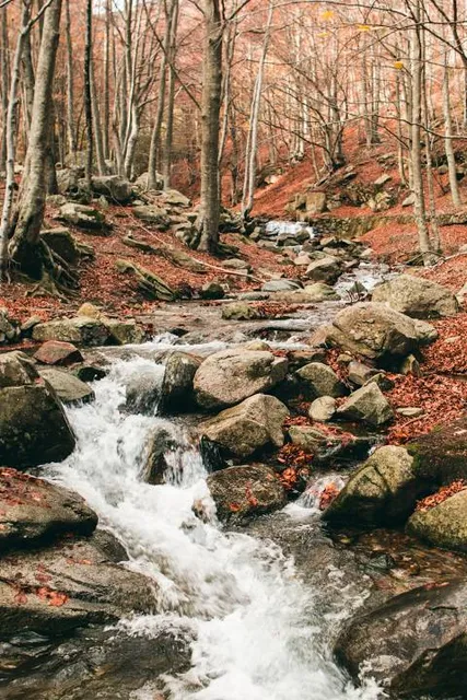 Font de Passavets. Montseny