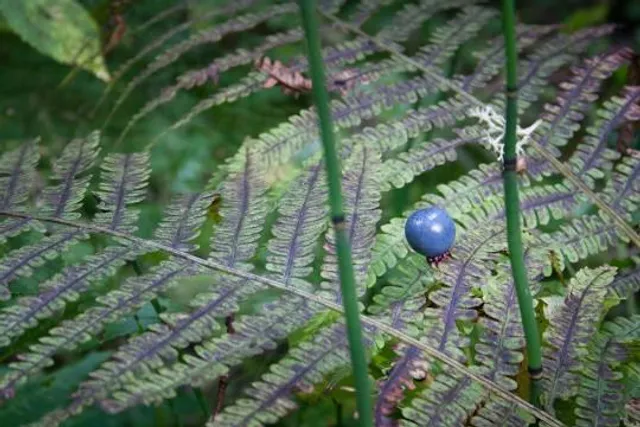 Museo Interactivo de Ciencia