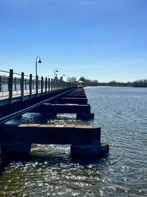 photo-3