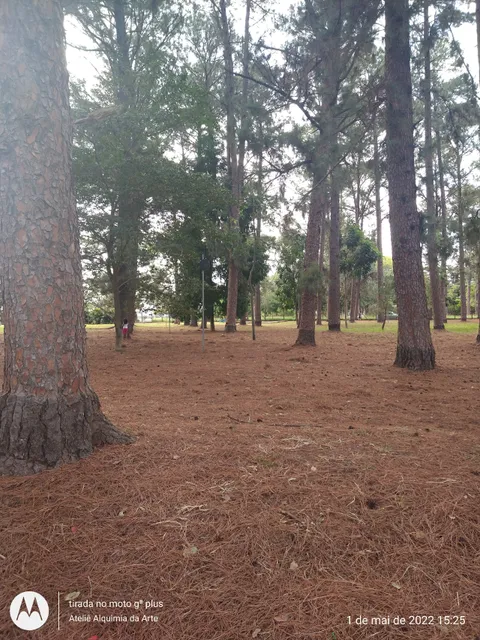 Botanical Garden Grove