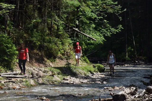 Ust-Chorna Settlement Hromada